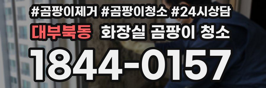 대부북동 화장실 곰팡이 청소