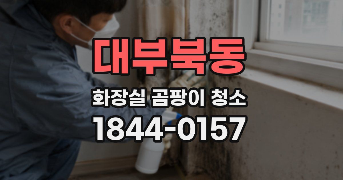대부북동 화장실 곰팡이 청소
