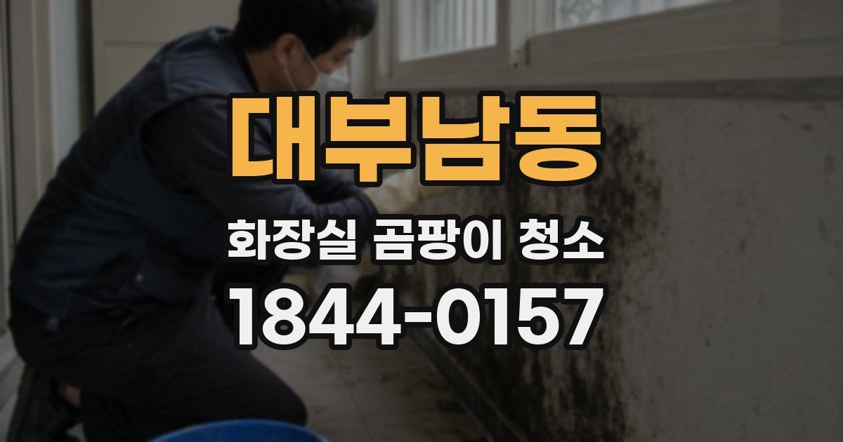 대부남동 화장실 곰팡이 청소