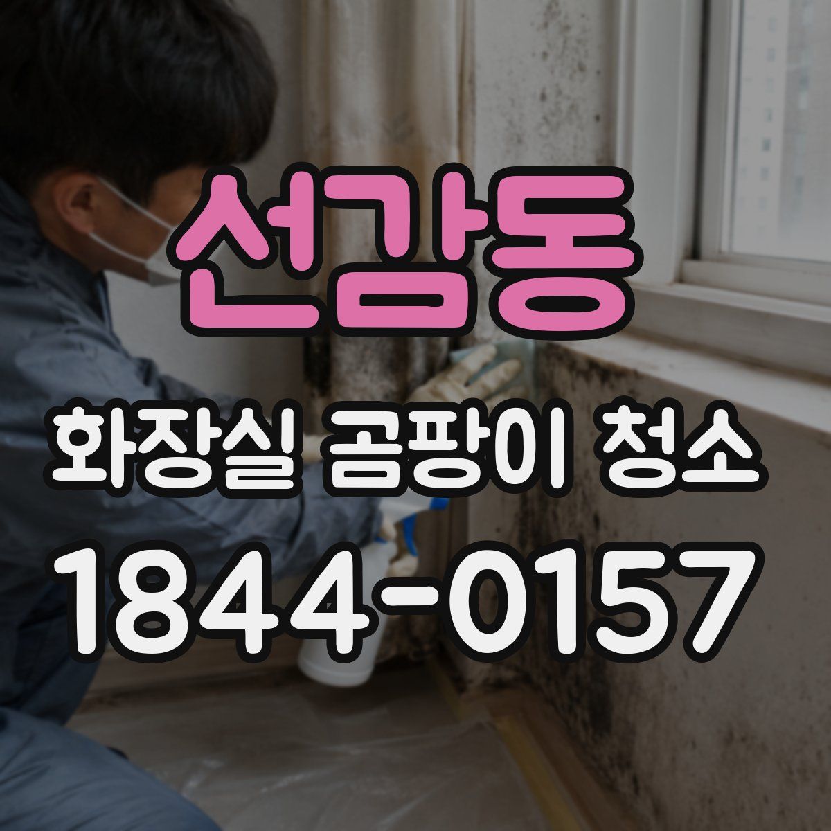 선감동 화장실 곰팡이 청소