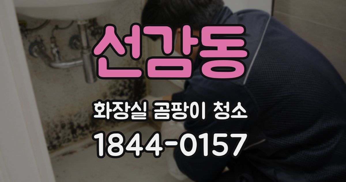 선감동 화장실 곰팡이 청소