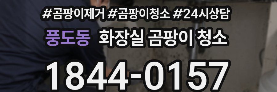 풍도동 화장실 곰팡이 청소