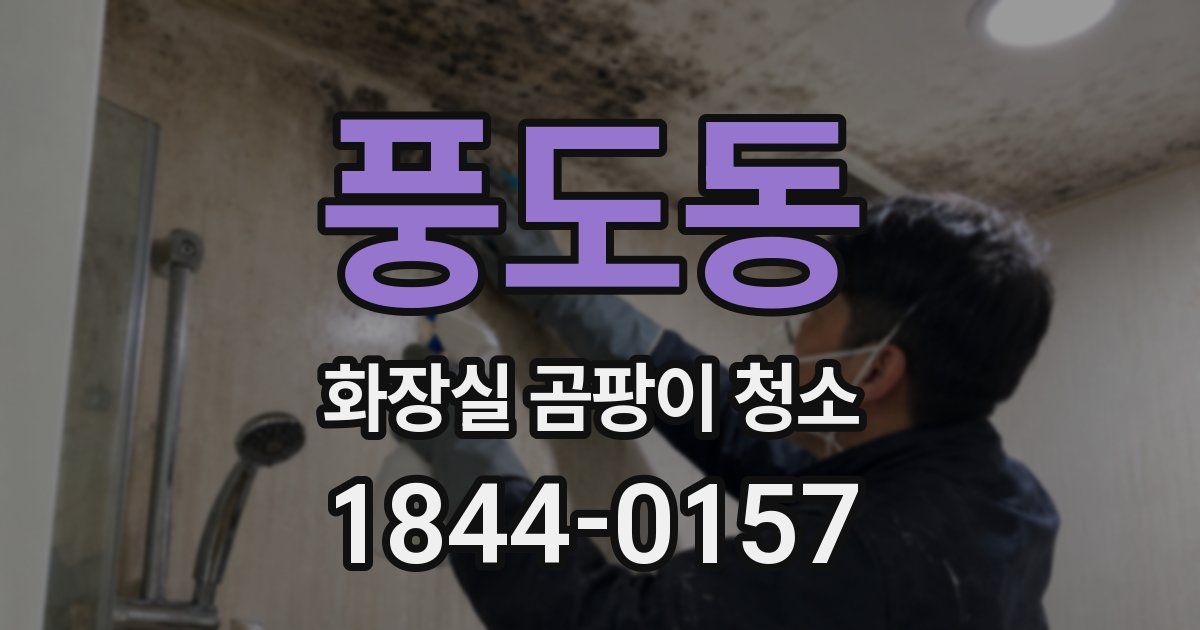 풍도동 화장실 곰팡이 청소