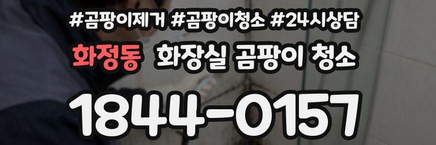 화정동 화장실 곰팡이 청소