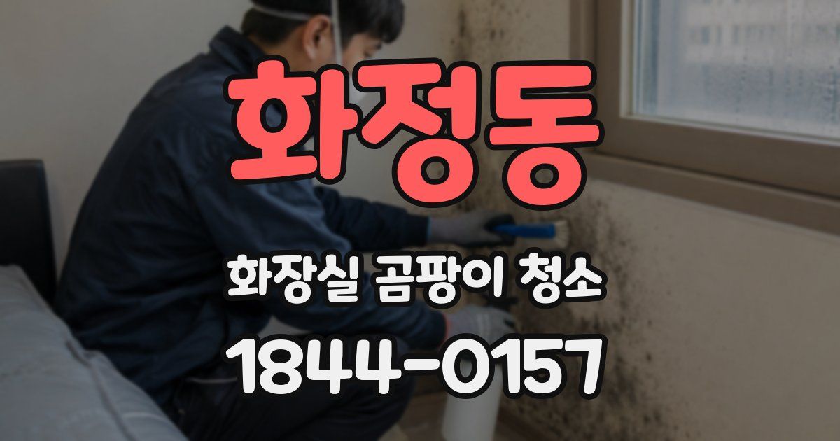 화정동 화장실 곰팡이 청소