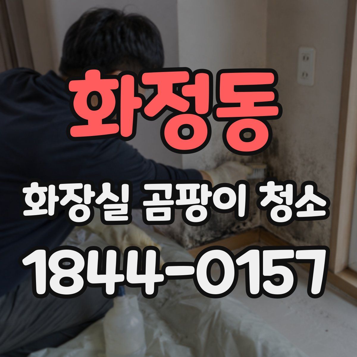 화정동 화장실 곰팡이 청소