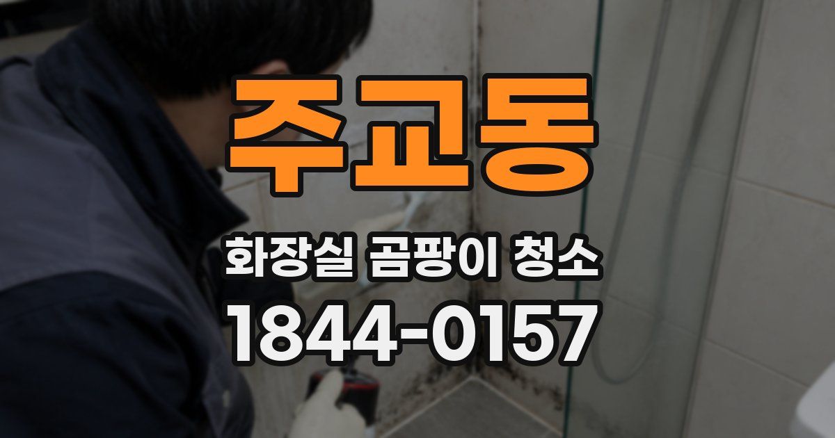 주교동 화장실 곰팡이 청소