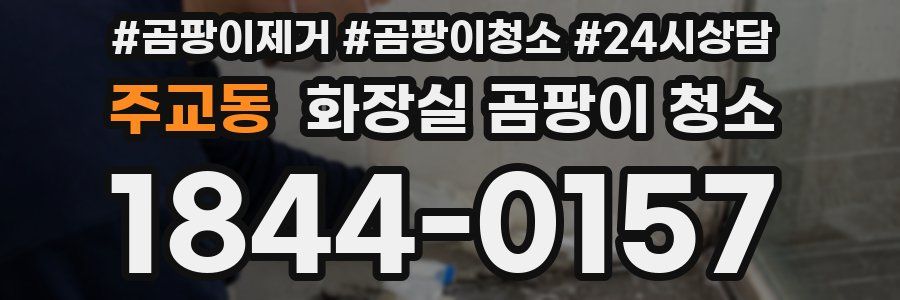 주교동 화장실 곰팡이 청소