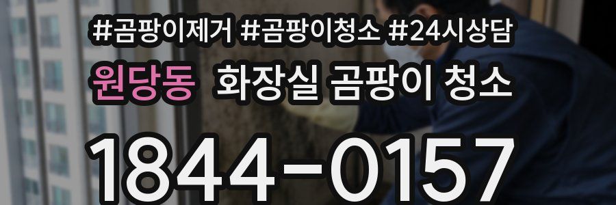 원당동 화장실 곰팡이 청소