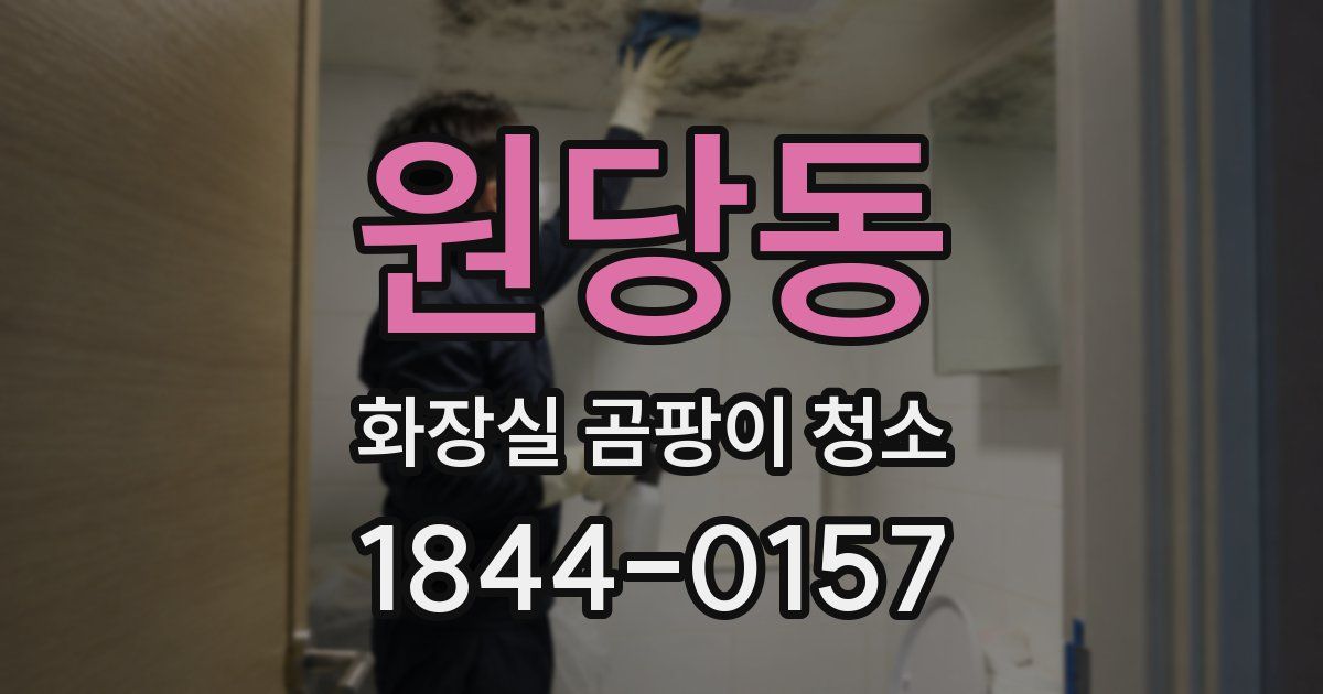 원당동 화장실 곰팡이 청소
