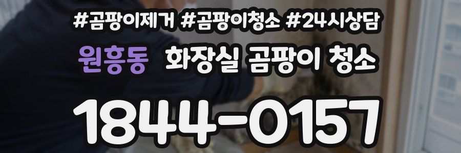 원흥동 화장실 곰팡이 청소