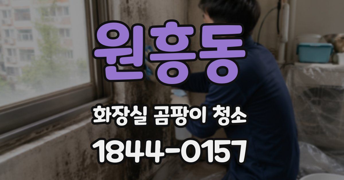 원흥동 화장실 곰팡이 청소