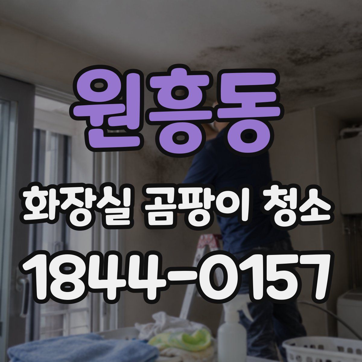 원흥동 화장실 곰팡이 청소