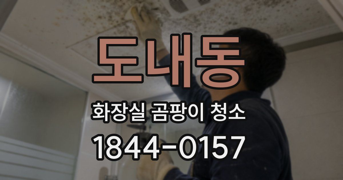 도내동 화장실 곰팡이 청소