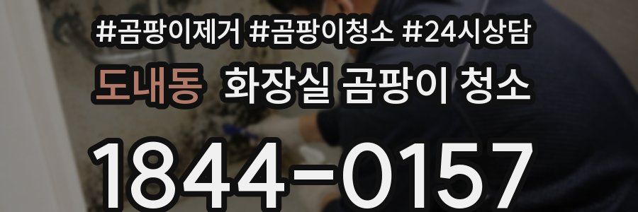 도내동 화장실 곰팡이 청소