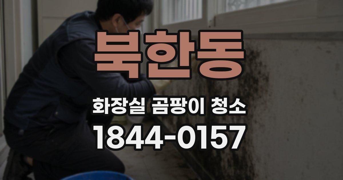 북한동 화장실 곰팡이 청소