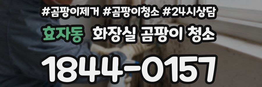 효자동 화장실 곰팡이 청소