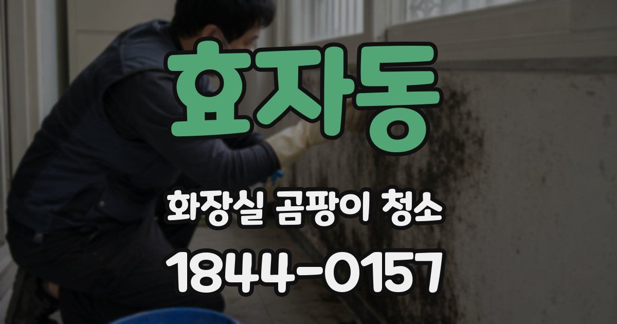 효자동 화장실 곰팡이 청소