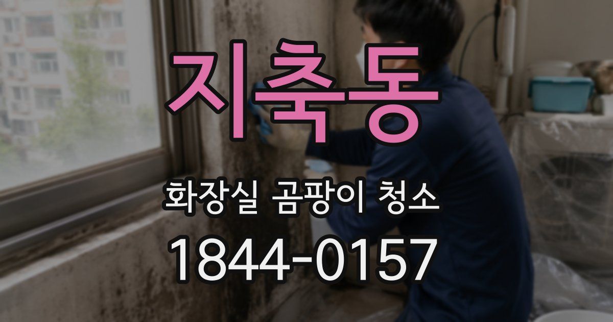 지축동 화장실 곰팡이 청소