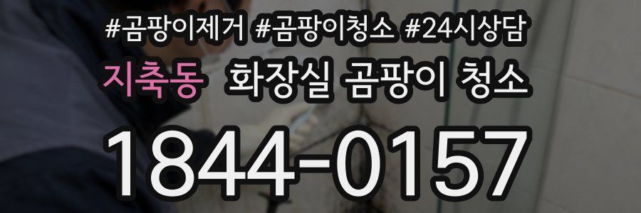 지축동 화장실 곰팡이 청소