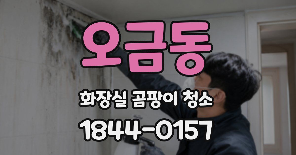 오금동 화장실 곰팡이 청소