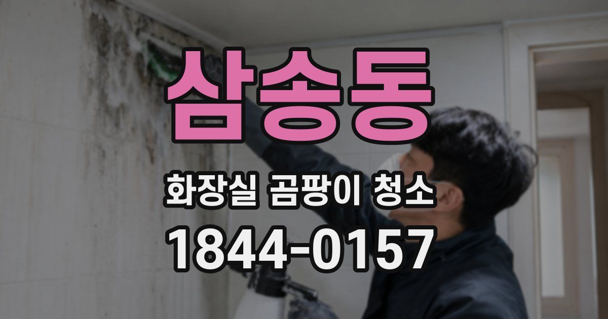 삼송동 화장실 곰팡이 청소