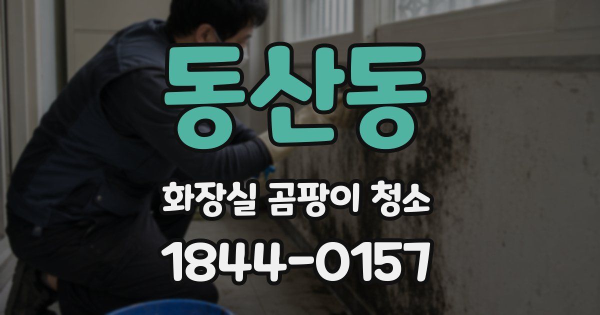 동산동 화장실 곰팡이 청소