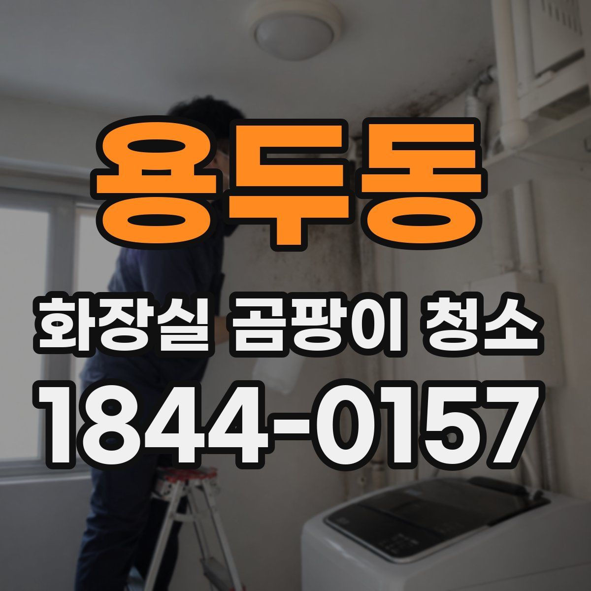 용두동 화장실 곰팡이 청소