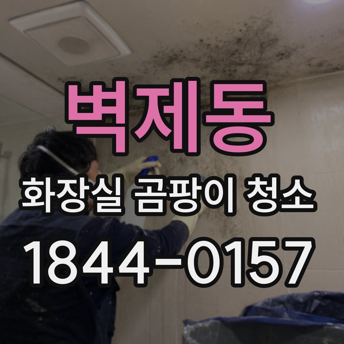벽제동 화장실 곰팡이 청소