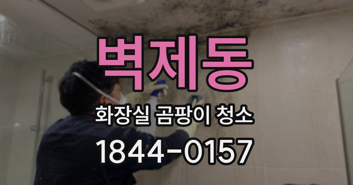 벽제동 화장실 곰팡이 청소