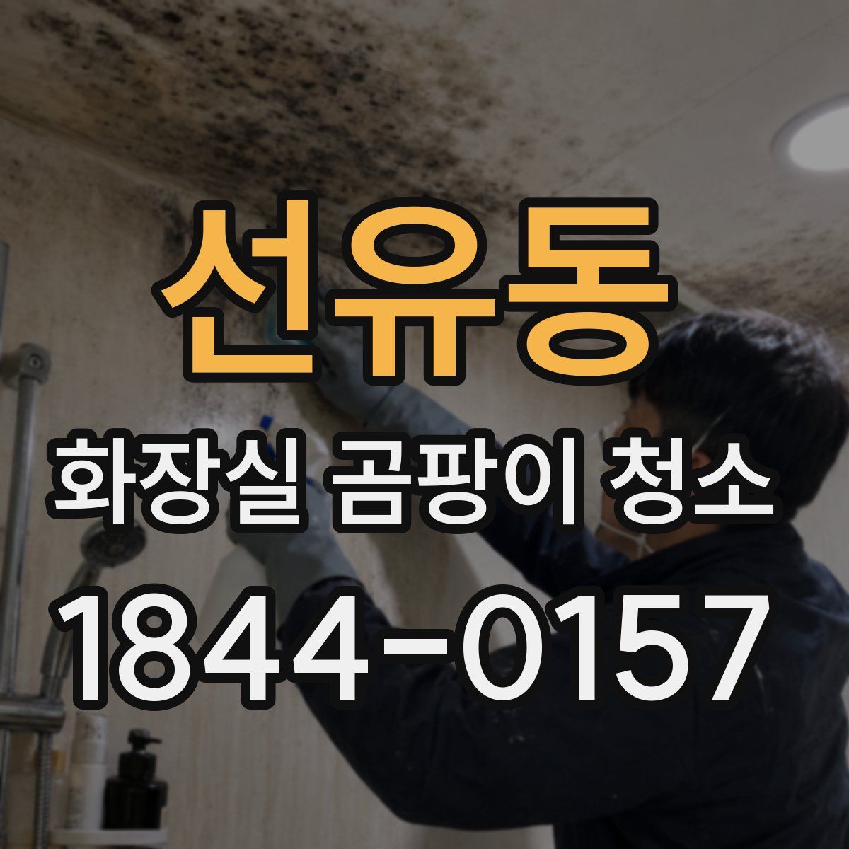 선유동 화장실 곰팡이 청소