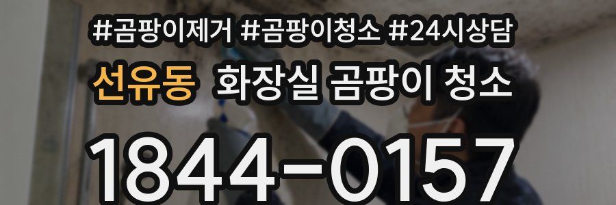 선유동 화장실 곰팡이 청소