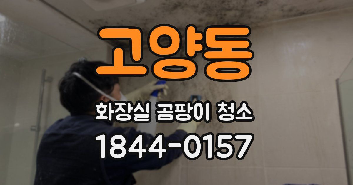 고양동 화장실 곰팡이 청소