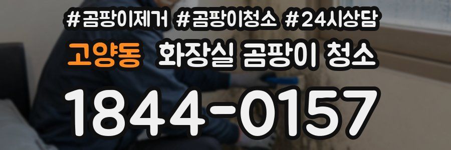 고양동 화장실 곰팡이 청소