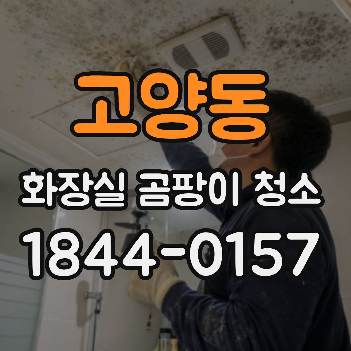 고양동 화장실 곰팡이 청소
