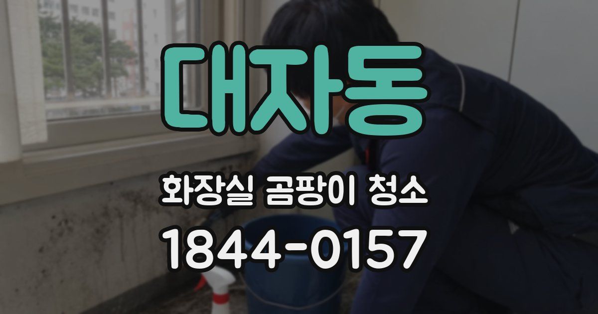 대자동 화장실 곰팡이 청소
