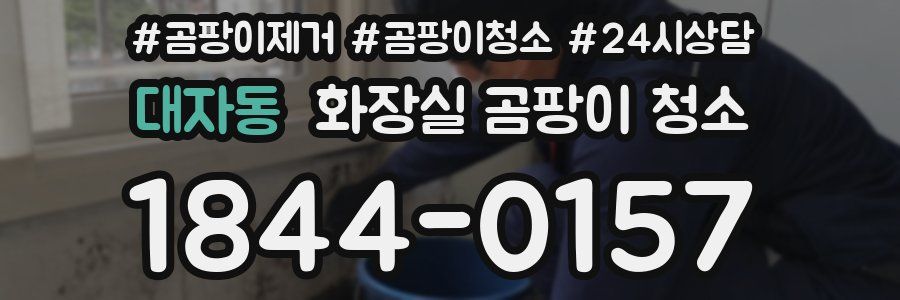 대자동 화장실 곰팡이 청소