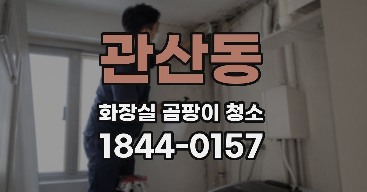 관산동 화장실 곰팡이 청소