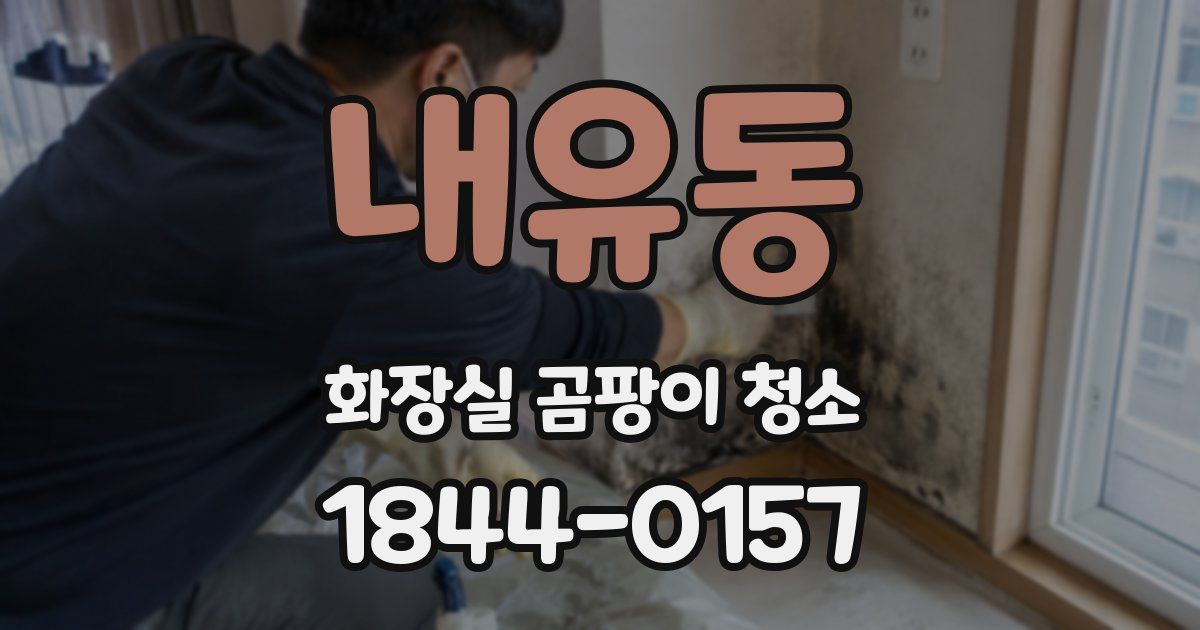 내유동 화장실 곰팡이 청소