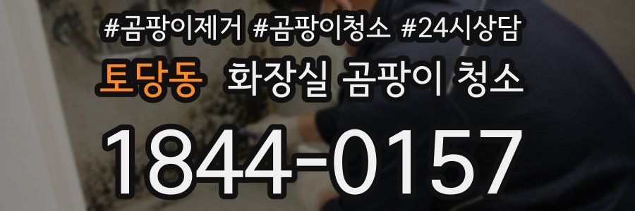 토당동 화장실 곰팡이 청소
