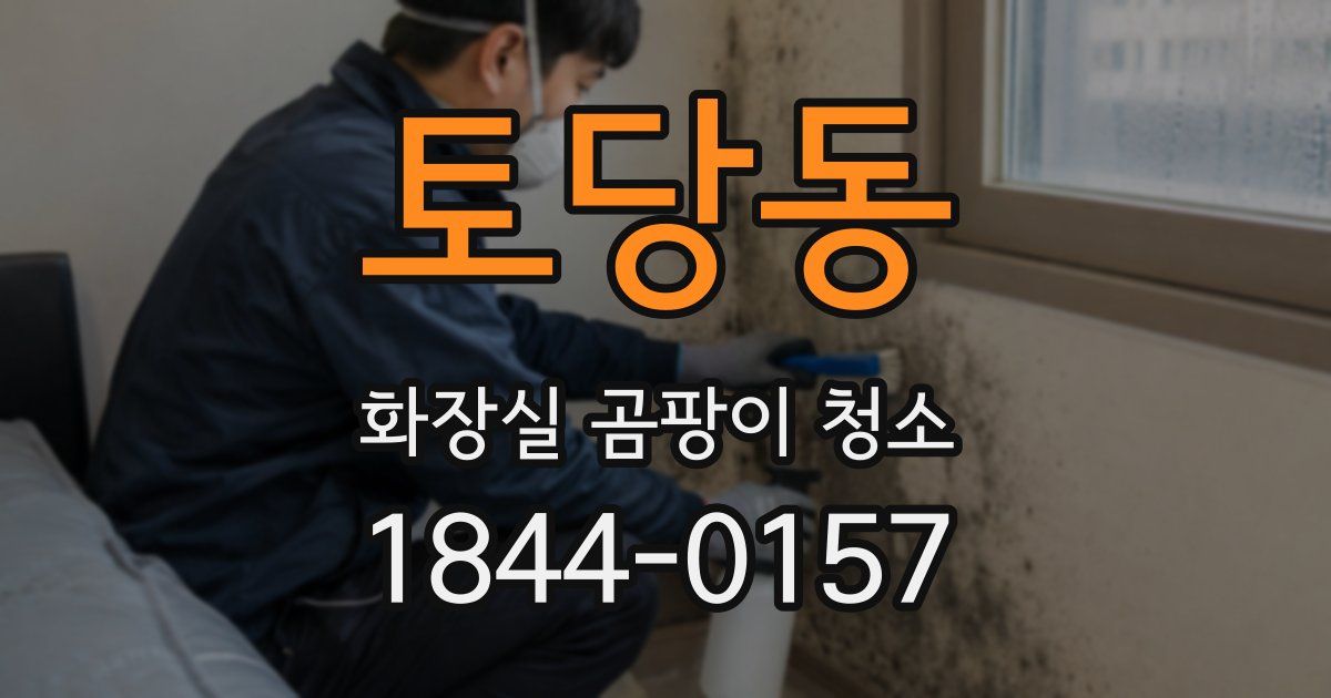 토당동 화장실 곰팡이 청소