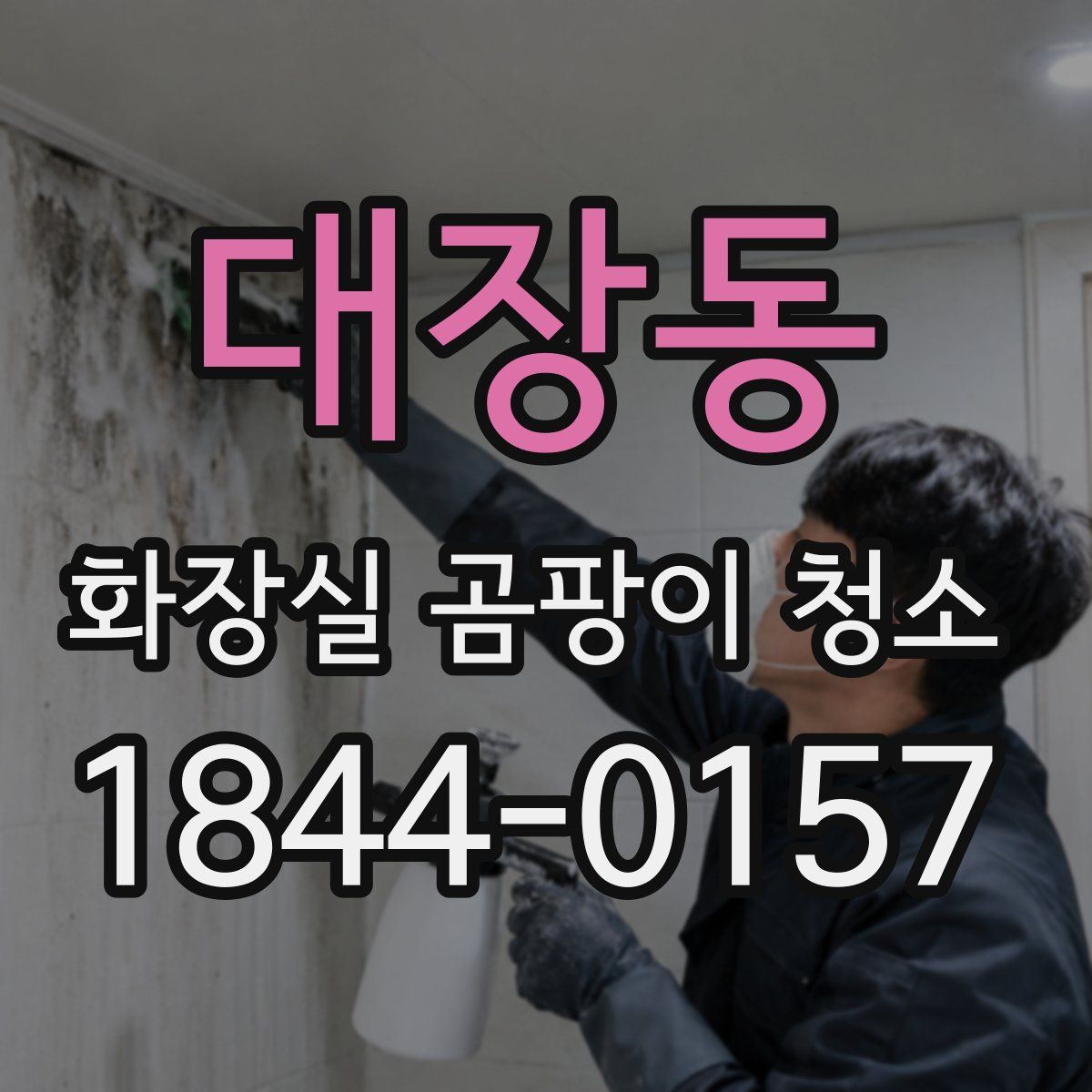 대장동 화장실 곰팡이 청소