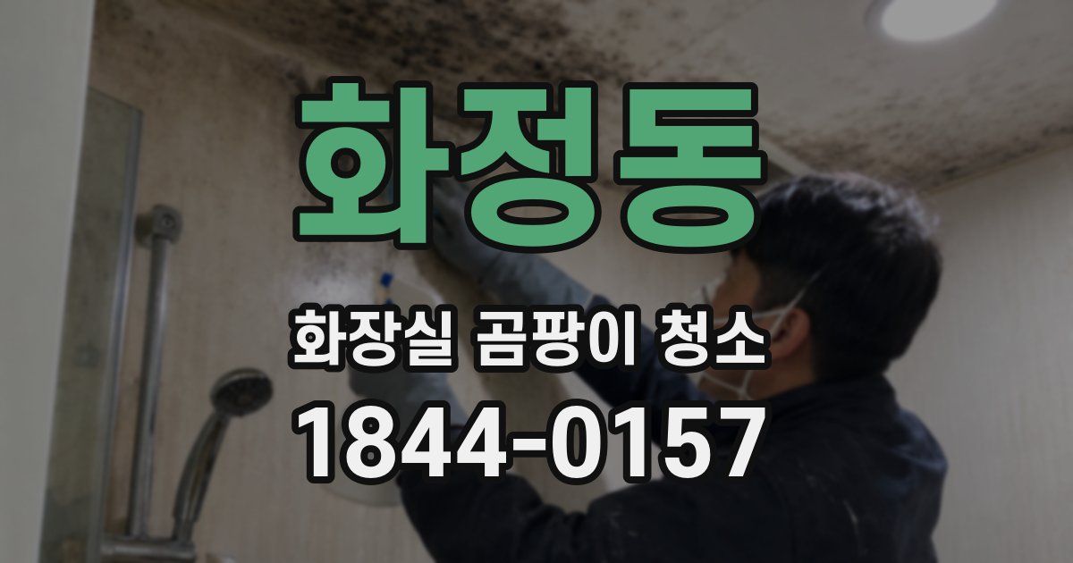 화정동 화장실 곰팡이 청소
