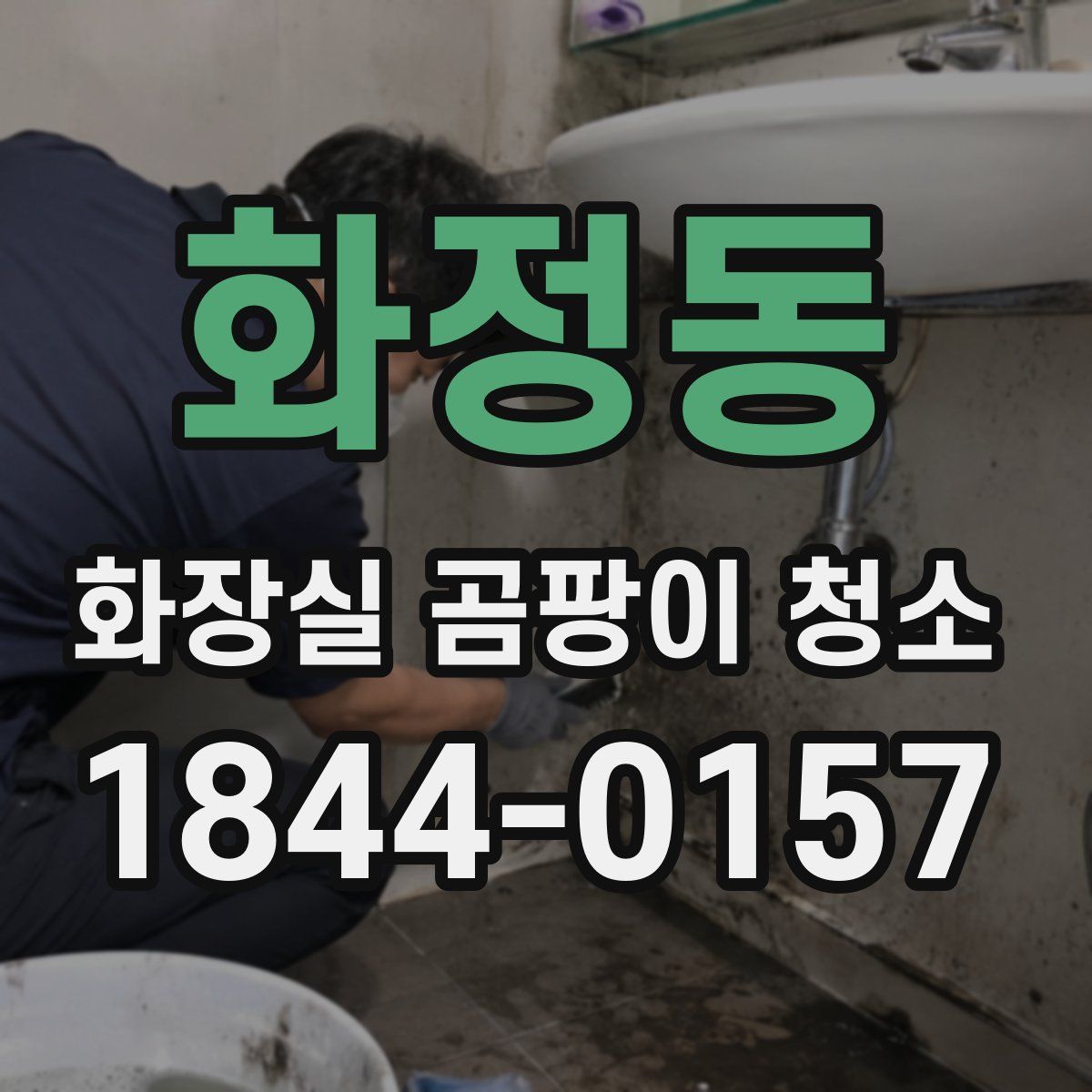 화정동 화장실 곰팡이 청소