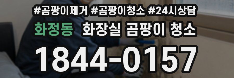 화정동 화장실 곰팡이 청소