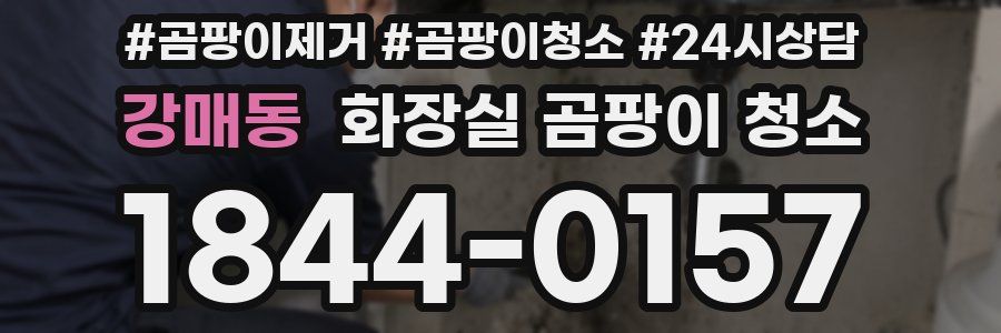 강매동 화장실 곰팡이 청소