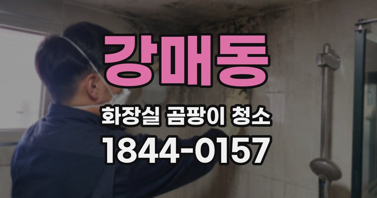 강매동 화장실 곰팡이 청소