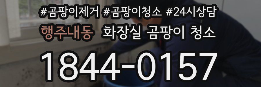 행주내동 화장실 곰팡이 청소