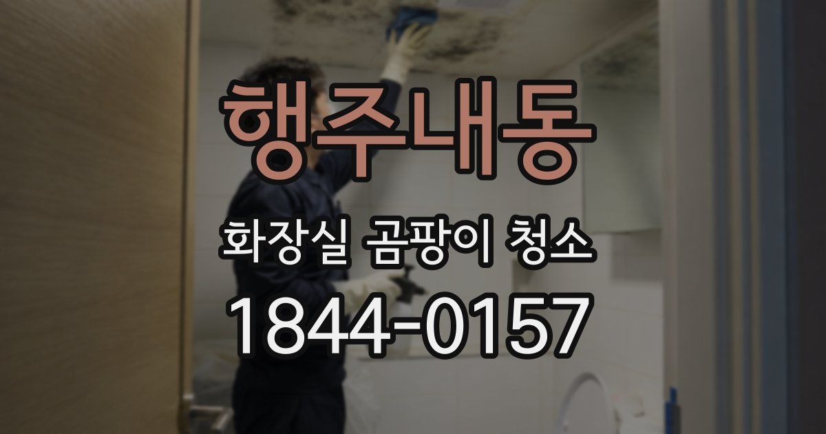 행주내동 화장실 곰팡이 청소