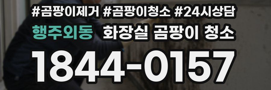 행주외동 화장실 곰팡이 청소